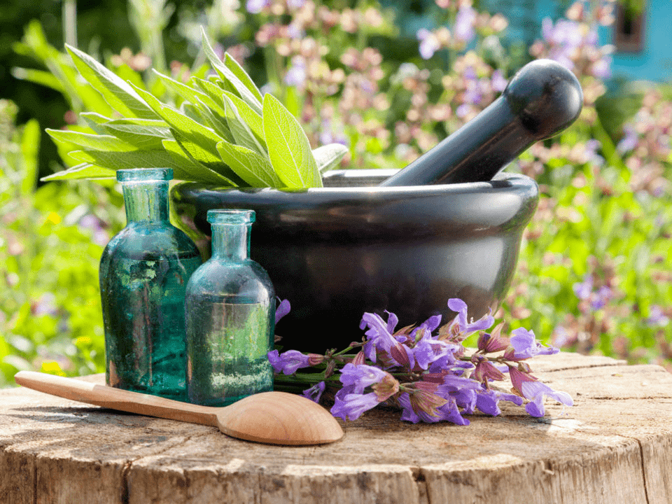 Herbes pour bains curatifs pour l'ostéochondrose.